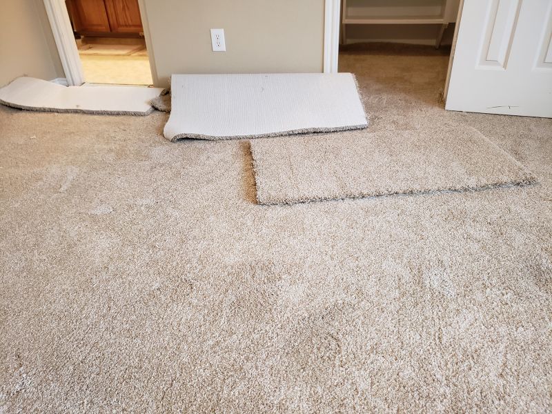 Carpet Repair Service in Littleton, CO